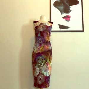 Ted Baker midi dress size 2 (US 6)